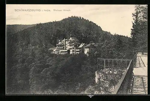 AK Schwarzburg / Thür., Weisser Hirsch