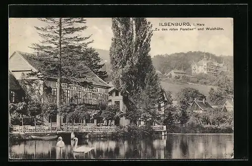 AK Ilsenburg / Harz, Gasthaus Zu den roten Forellen und Waldhöhe