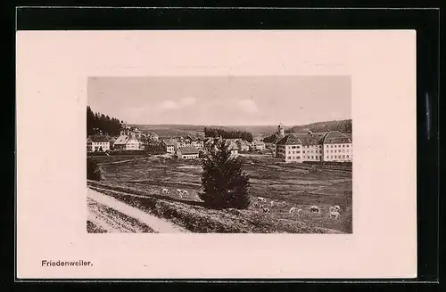 AK Friedenweiler, Ortsansicht aus der Vogelschau im Passepartout-Rahmen