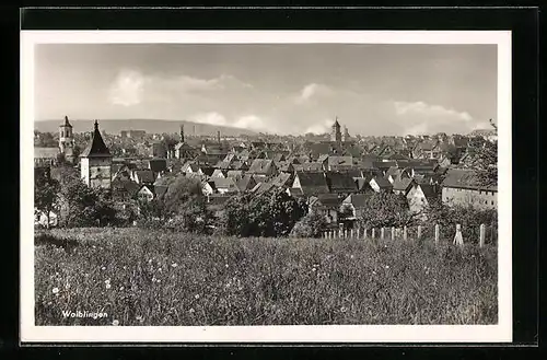 AK Waiblingen, Gesamtansicht