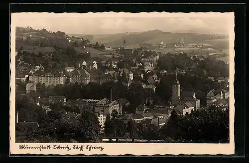 AK Sebnitz, Ortsansicht aus der Vogelschau