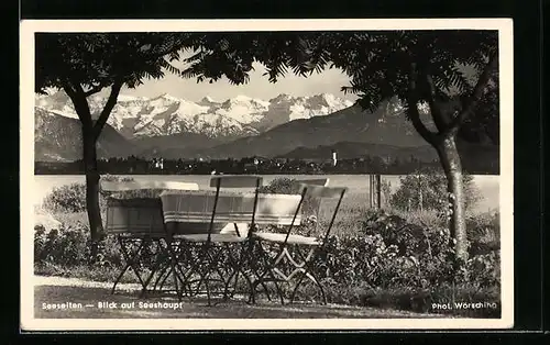 AK Seeseiten / Starnberger See, Blick auf Seeshaupt