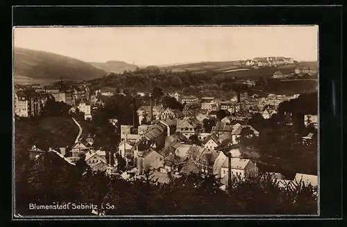 AK Sebnitz i. Sa., Gesamtansicht