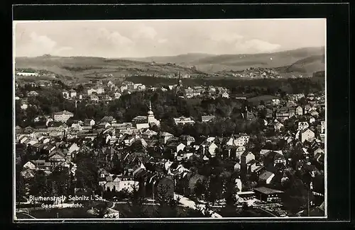 AK Sebnitz i. Sa., Totalansicht