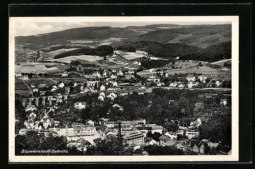 AK Sebnitz i. Sa., Ortsansicht aus der Vogelschau