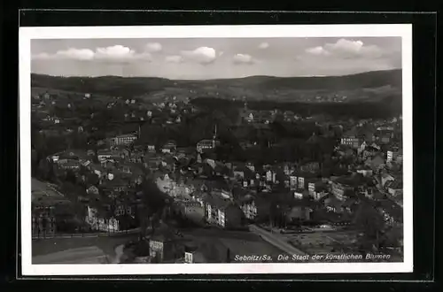 AK Sebnitz i. Sa., Gesamtansicht