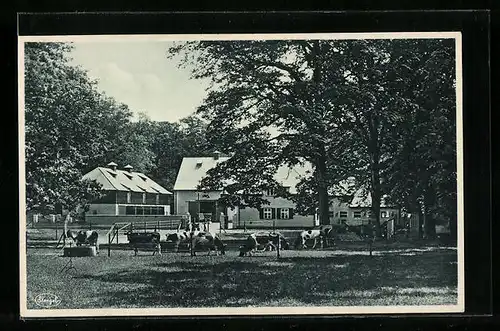 AK Dresden, Intern. Hygiene-Ausstellung 1931, Gutshof in der Gruppe Landwirtschaft