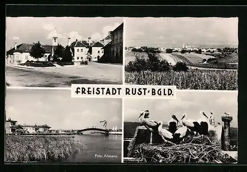 AK Rust, Ortsansicht aus der Vogelschau, Strassenpartie, Flusspartie mit Brücke