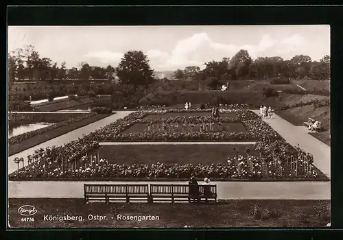 AK Königsberg i. Pr., Rosengarten