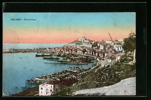 AK Ancona, Panorama