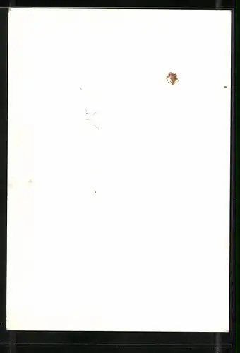 AK Musiker Monika Hauff und Klaus-Dieter Henkler unterwegs in der Natur, original Autograph