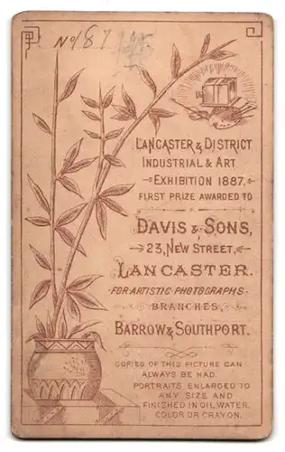 Fotografie Davis & Sons, Lancaster, 23 New Street, Junger Mann in eleganter Pose