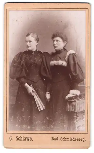 Fotografie C. Schlawe, Bad Schmiedeberg, Zwei Schwestern in Kleidern mit Puffelärmeln