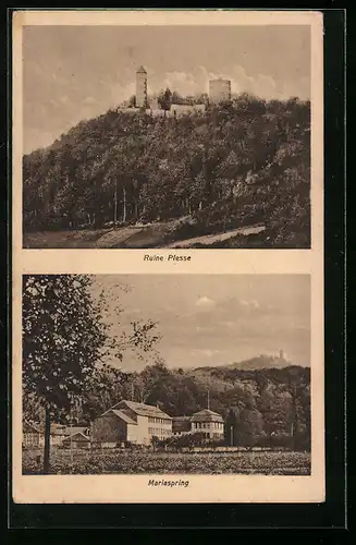 AK Mariaspring, Hotel und Pensionshaus, Ruine Plesse
