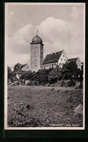 AK Neckarsulm, Altes Schloss