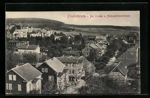 AK Friedrichroda, Die Linden u. Alexandrinenstrasse