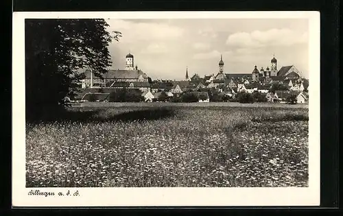 AK Dillingen a. d. D., Ortspartie mit Blumenwiese