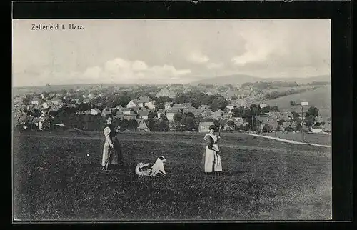AK Zellerfeld i. Harz, Ortsansicht aus der Vogelschau