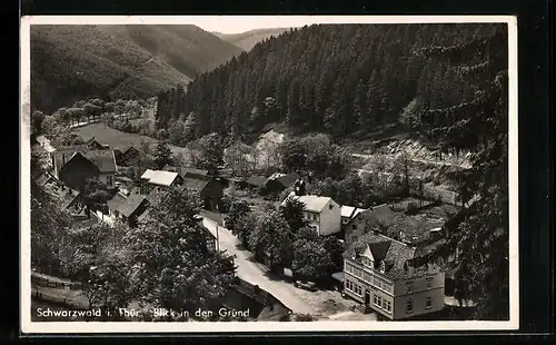AK Schwarzwald i. Thür., Blick in den Grund