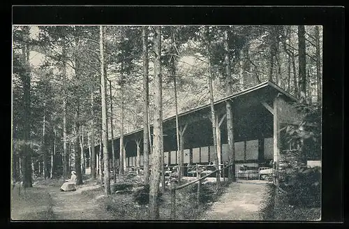 AK Grimmenstein /Aspangb., Heilanstalt der Pensionsanstalt für Angestellte, Waldliegehalle