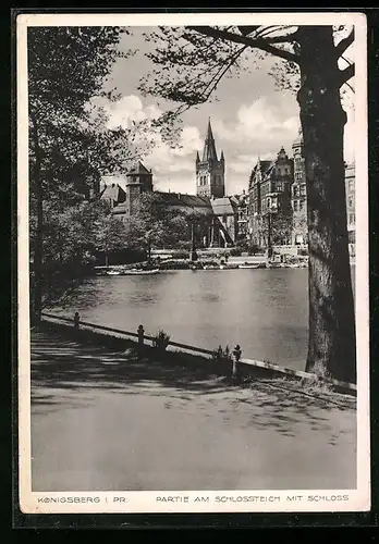 AK Königsberg i. Pr., Partie am Schlossteich mit Schloss