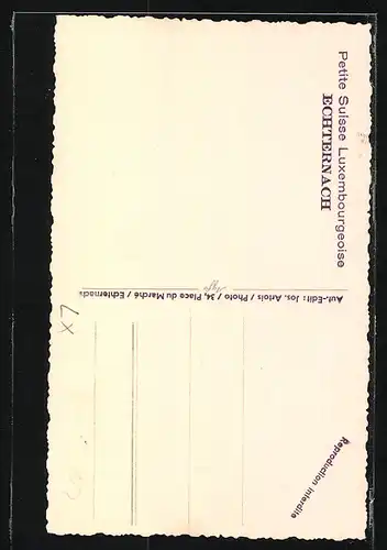 AK Echternach, Panorama