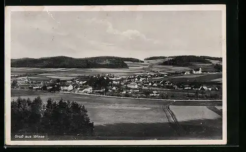AK Wiese, Ortsansicht mit Feldern
