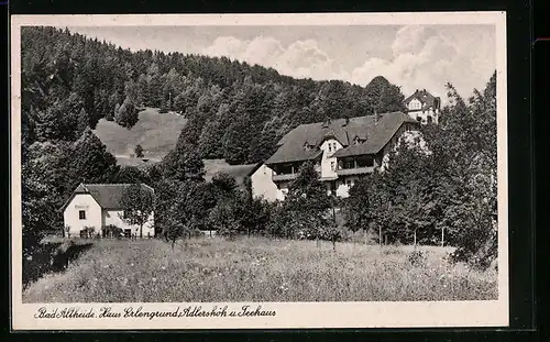 AK Bad Altheide, Haus Erlengrund, Adlershöh u. Teehaus