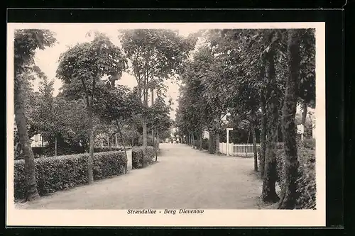 AK Berg Dievenow, Partie in der Strandallee