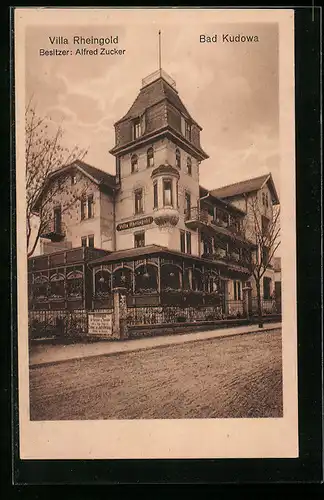 AK Bad Kudowa, Villa Rheingold