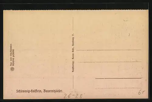 Steindruck-AK Schleswig-Holstein, Bauernhäuser, Hühner