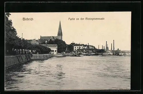 AK Biebrich, Rheinpromenade, Blick zur Kirche