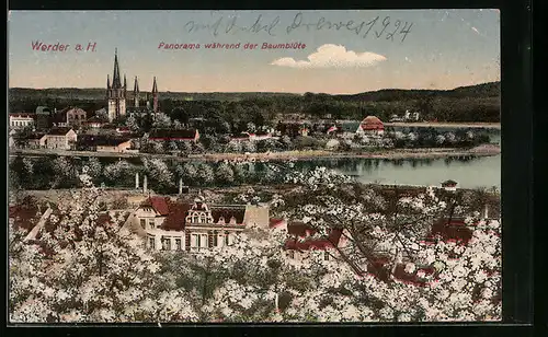 AK Werder a. H., Panoramaansicht der Stadt während der Baumblüte