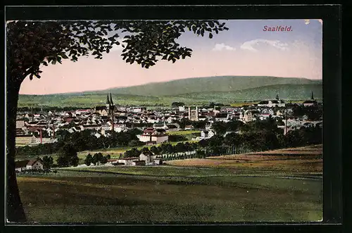 AK Saalfeld, Panoramaansicht der Stadt von den Feldern aus