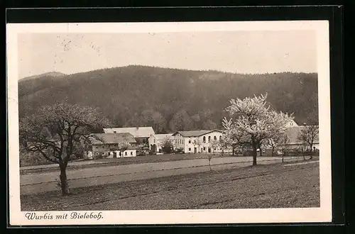 AK Wurbis, auf den Obstfeldern mit Blick auf den Ort und Bieleboh