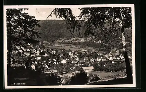 AK Bad Liebenzell, Generalansicht der Stadt im Tal vom Waldrand aus
