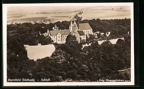 AK Mansfeld im Südharz, Blick auf das Schloss von Wald umgeben