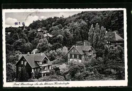 AK Bad Harzburg, Villen an der kleinen Krodostrasse