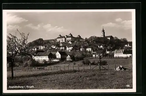 AK Augustusburg i. Erzgeb., Ortstotale mit dem Schloss und der Kirche von den Wiesen aus