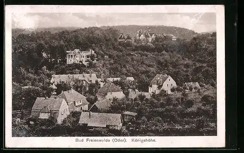 AK Bad Freienwalde a. Oder, Villen auf der Königshöhe