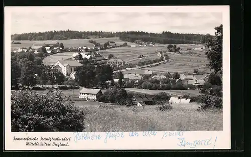 AK Steinigtwolmsdorf im Mittellausitzer Bergland, Blick auf den gesamten Ort im Tal