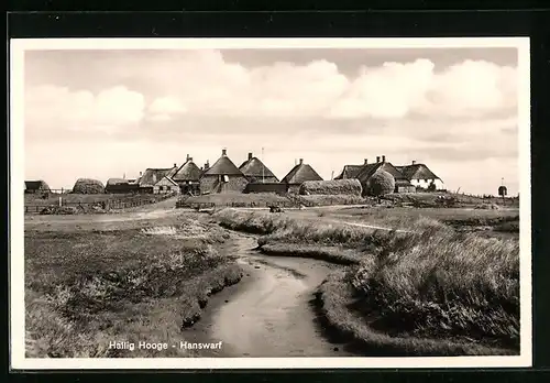 AK Hallig Hooge, Hanswarf, Blick auf die Wohnhäuser