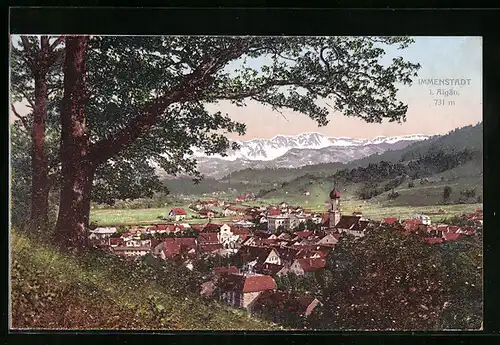 AK Immenstadt i. Allgäu, Talansicht mit der Stadt gegen die Berge