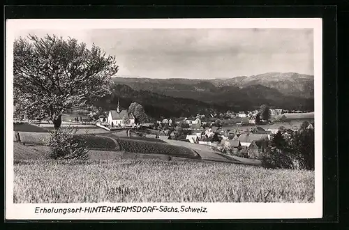 AK Hinterhermsdorf i. Sächs. Schweiz, Ortstotale mit der Kirche von den Feldern aus