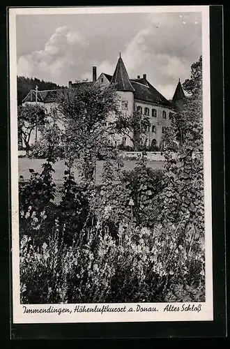 AK Immendingen a. Donau, Partie unter dem alten Schloss