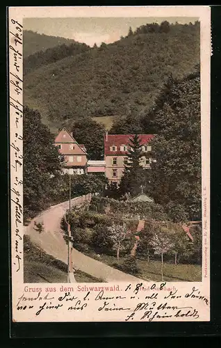 AK Bad Sulzbach im Schwarzwald, auf der Strasse in den Ort