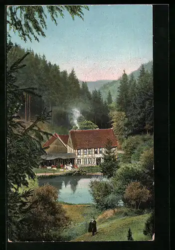 AK Hohegeis im Oberharz, Talblick mit der Wolfsbachmühle