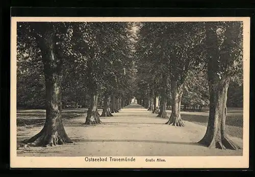 AK Travemünde, Blick auf die grosse Allee