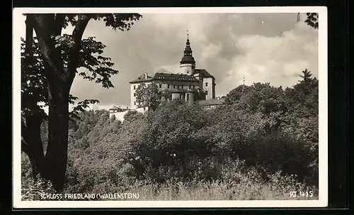 AK Wallenstein, Blick auf das Schloss Friedland