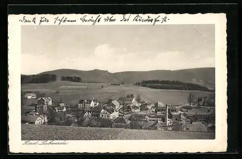 AK Bad Liebwerda, Blick auf den Ort im Tal